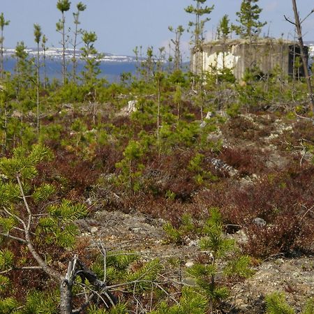 Saelens Vandrarhem I Graesheden Stöten エクステリア 写真