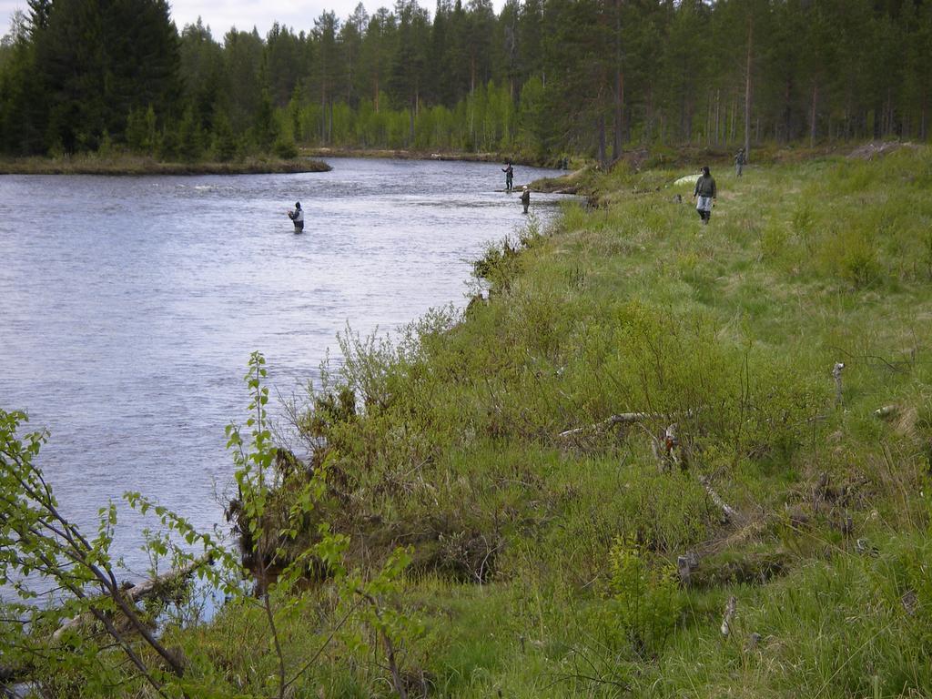 Saelens Vandrarhem I Graesheden Stöten エクステリア 写真